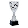Coupe Métal "Premium" de 25 cm -Clubs de sport !