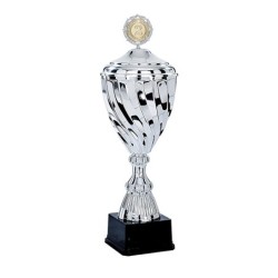 Coupe Métal Personnalisée - 35 cm - Grand choix de sports