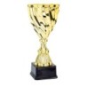 Coupe Métal "Premium" de 25 cm -Clubs de sport !