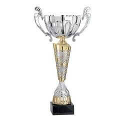 Coupe Métal "Premium" de 31 cm -Clubs de sport !
