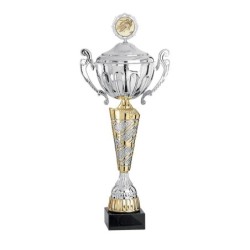 Coupe Métal Personnalisée - 41 cm - Grand choix de sports