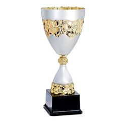 Coupe Métal "Premium" de 30 cm -Clubs de sport !