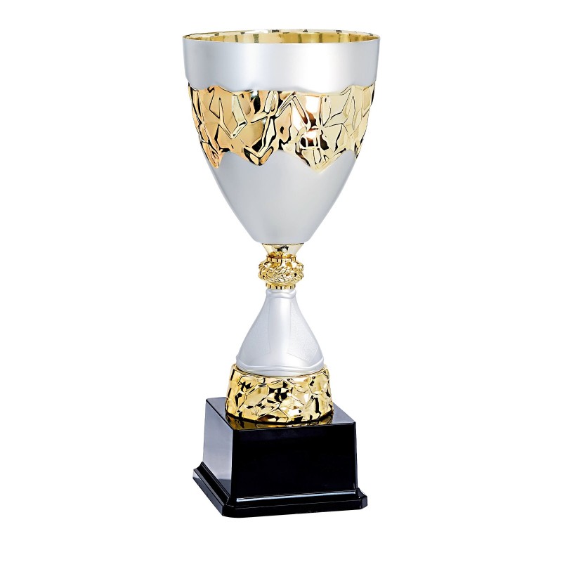 Coupe Métal "Premium" de 30 cm -Clubs de sport !