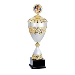 Coupe Métal Personnalisée - 40 cm - Grand choix de sports