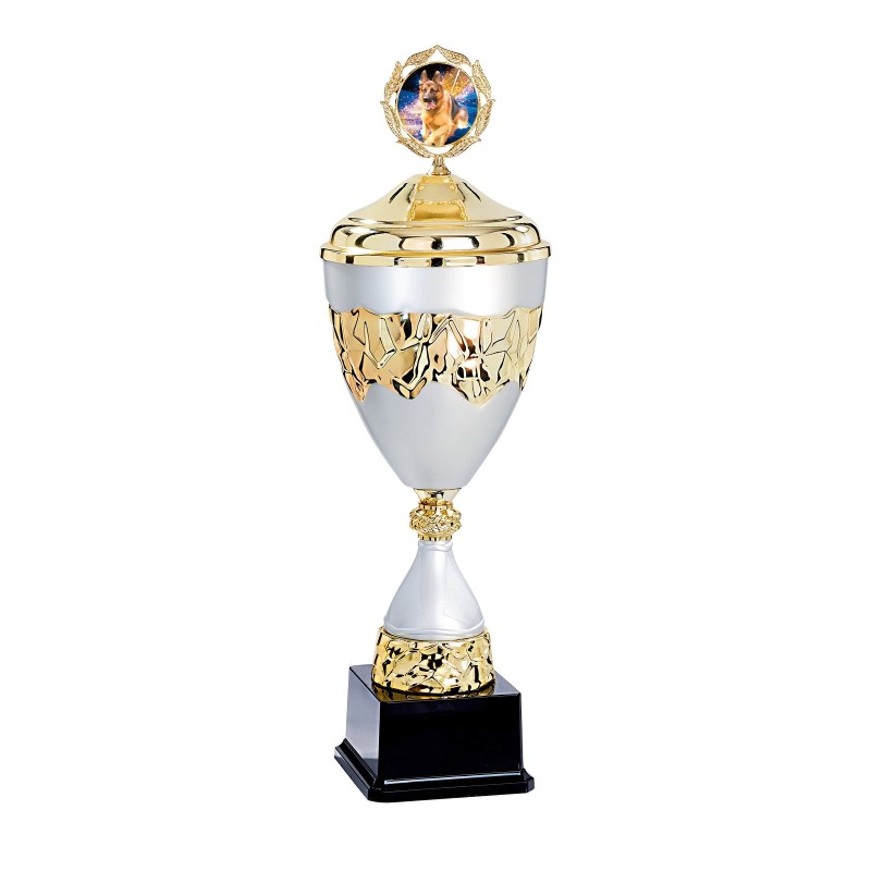 Coupe Métal Personnalisée - 40 cm - Grand choix de sports