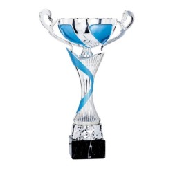 Coupe Métal "Classique" de 28 cm -Clubs de sport !