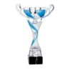 Coupe Métal "Classique" de 28 cm -Clubs de sport !