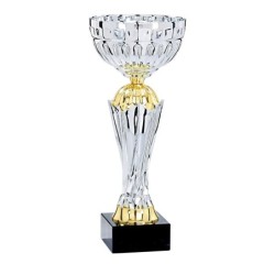 Coupe Métal "Classique" de 34 cm -Clubs de sport !