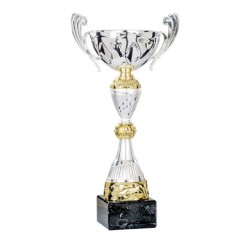 Coupe Métal "Classique" de 30 cm -Clubs de sport !