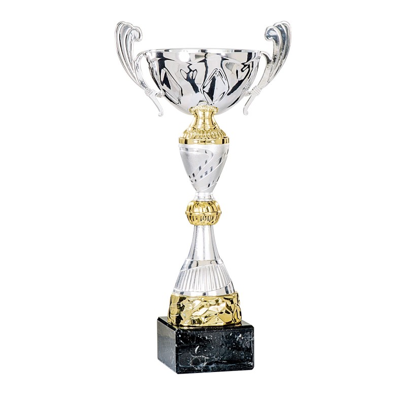 Coupe Métal "Classique" de 30 cm -Clubs de sport !
