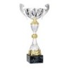 Coupe Métal "Classique" de 30 cm -Clubs de sport !