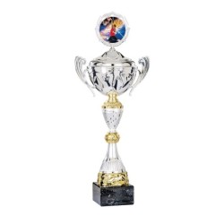 Coupe Métal Personnalisée - 40 cm - Grand choix de sports