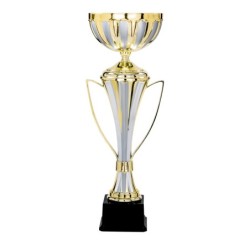 Coupe Métal "Classique" de 35 cm -Clubs de sport !