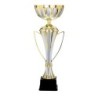 Coupe Métal "Classique" de 35 cm -Clubs de sport !