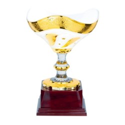Coupe  "Classique" en Verre de 22 cm -Clubs de sport !