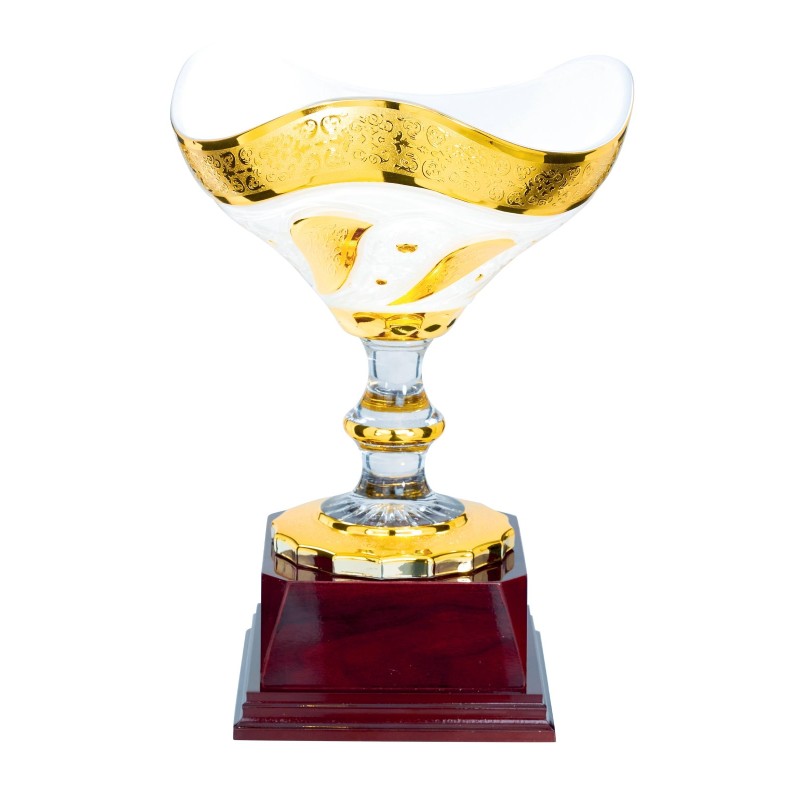 Coupe  "Classique" en Verre de 22 cm -Clubs de sport !