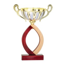 Coupe Métal "Classique" de 32 cm -Clubs de sport !