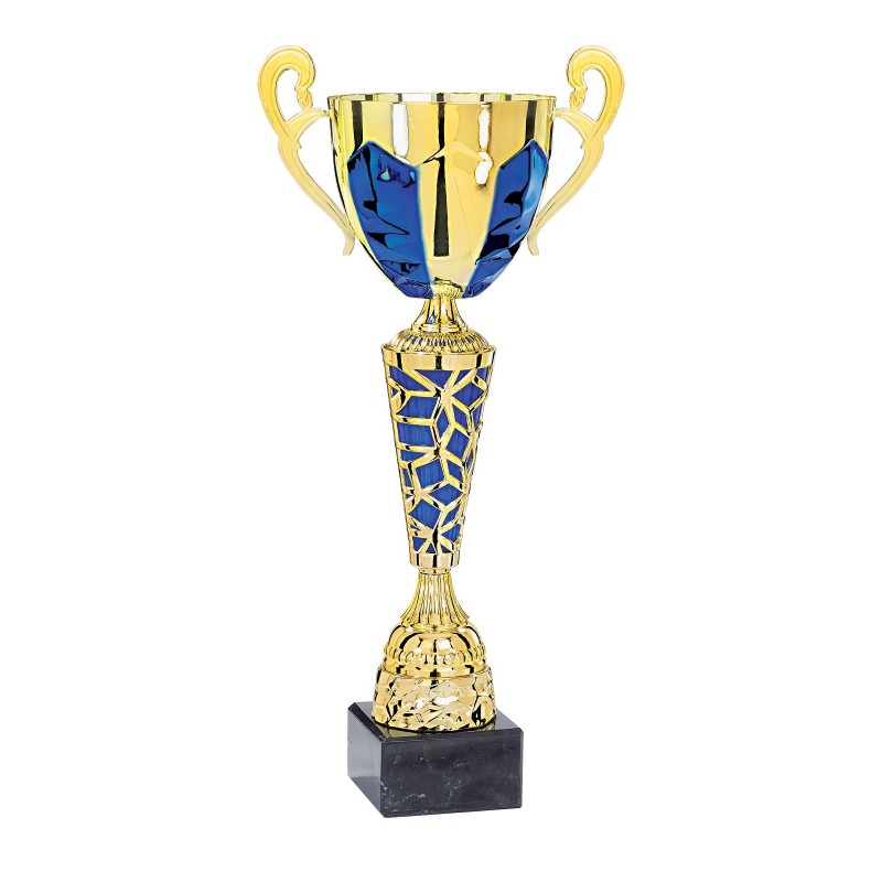 Coupe Métal "Classique" de 33 cm -Clubs de sport !