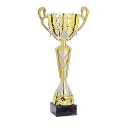 Coupe Métal "Classique" de 33 cm -Clubs de sport !