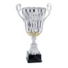 Coupe Métal "Classique" de 34 cm -Clubs de sport !