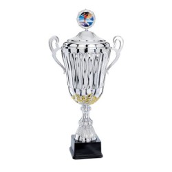 Coupe Métal Personnalisée - 44 cm - Grand choix de sports