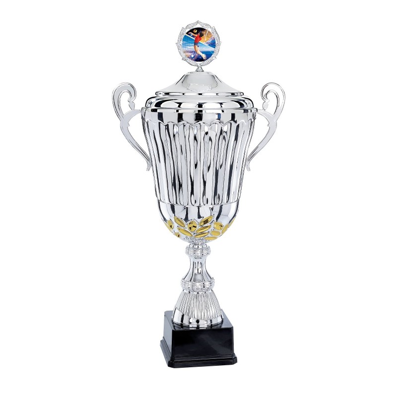 Coupe Métal Personnalisée - 44 cm - Grand choix de sports