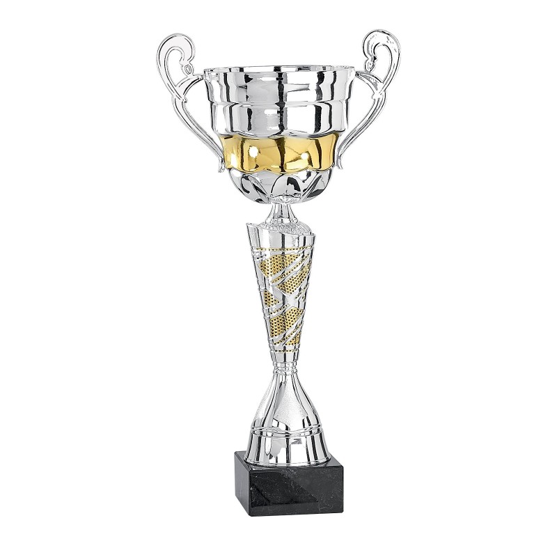 Coupe Métal "Classique" de 33 cm -Clubs de sport !