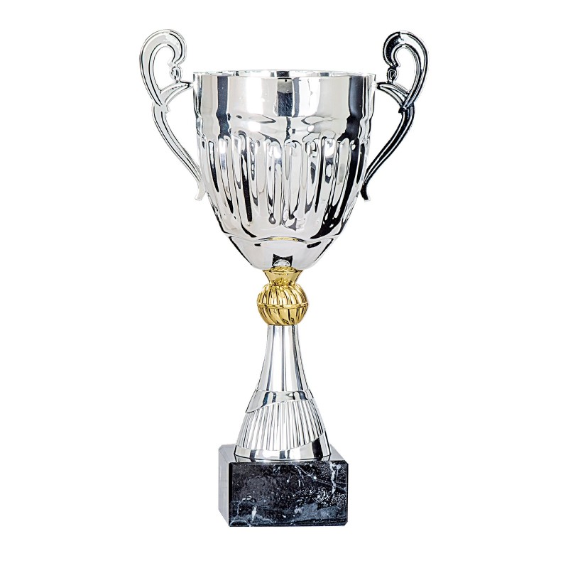 Coupe Métal "Classique" de 27 cm -Clubs de sport !