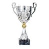 Coupe Métal "Classique" de 27 cm -Clubs de sport !