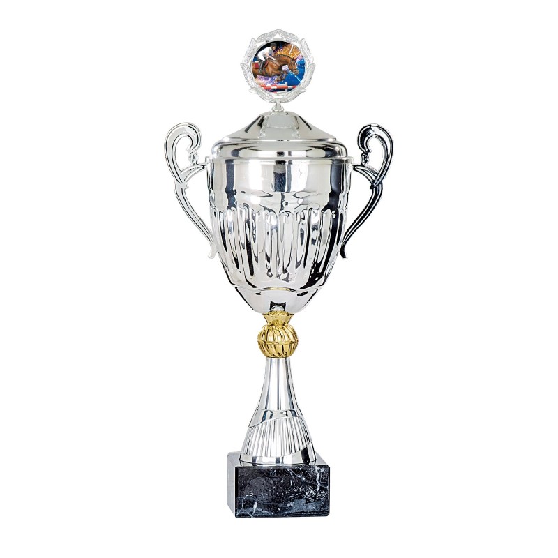 Coupe Métal Personnalisée - 37 cm - Grand choix de sports