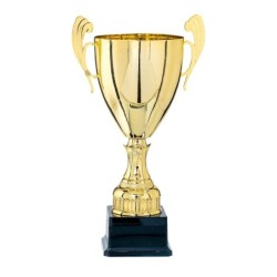 Coupe "Prestige" Métal (26 cm -Clubs de sport !