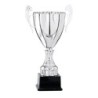 Coupe "Prestige" Métal (26 cm -Clubs de sport !