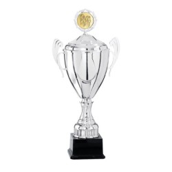 Coupe Métal Personnalisée - 36 cm - Grand choix de sports