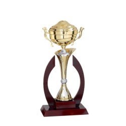 Coupe Métal Personnalisée - 44 cm - Grand choix de sports