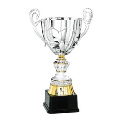 Coupe "Prestige" Métal (31 cm) -Clubs de sport !