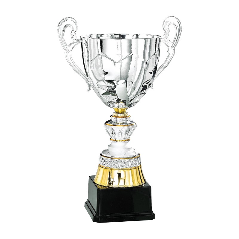 Coupe "Prestige" Métal (31 cm) -Clubs de sport !