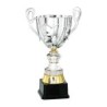 Coupe "Prestige" Métal (31 cm) -Clubs de sport !