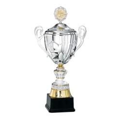 Coupe Métal Personnalisée - 41 cm - Grand choix de sports