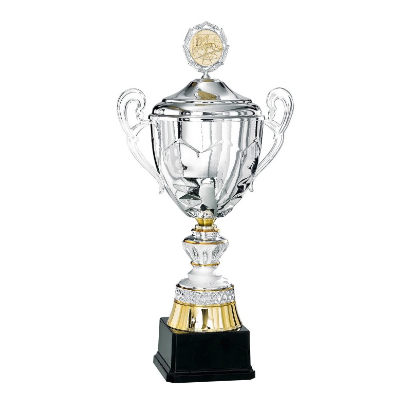 Coupe Métal Personnalisée - 41 cm - Grand choix de sports