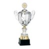 Coupe Métal Personnalisée - 41 cm - Grand choix de sports