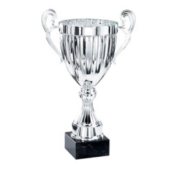 Coupe "Prestige" Métal (26 cm) -Clubs de sport !