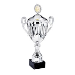 Coupe Métal Personnalisée - 36 cm - Grand choix de sports