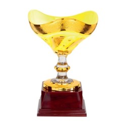 Coupe  "Classique" en Verre de 22 cm -Clubs de sport !