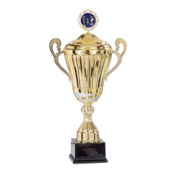 Coupe Métal Personnalisée - 45 cm - Grand choix de sports