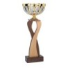 Coupe "Prestige" Bois et Métal (34 cm) Prix Spécial Clubs
