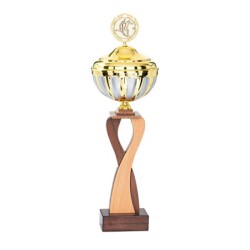 Coupe Personnalisée de 44 cm - Grand choix de sports