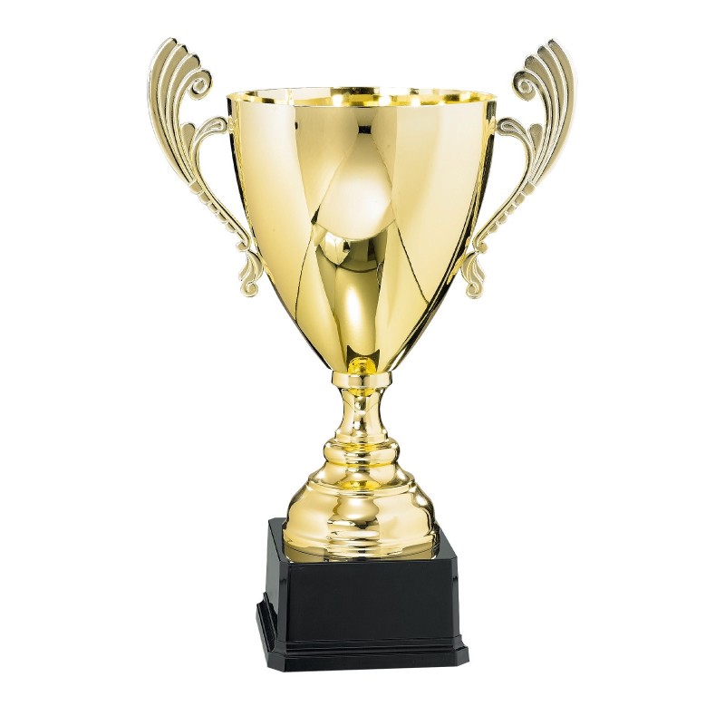 Coupe "Prestige" 100% Métal (30 cm - Qualité professionnelle