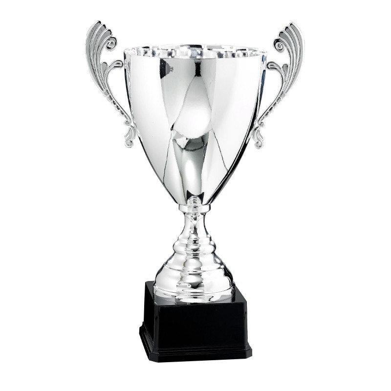 Coupe "Prestige" Métal (30 cm - Qualité professionnelle