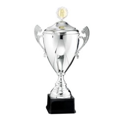 Coupe Personnalisée de 40 cm - Grand choix de sports