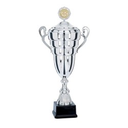 Coupe Personnalisée de 55 cm - Grand choix de sports
